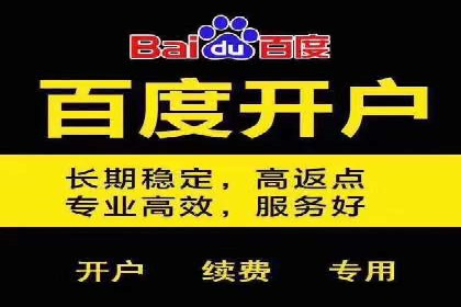 百度推广实战攻略：案例与策略
